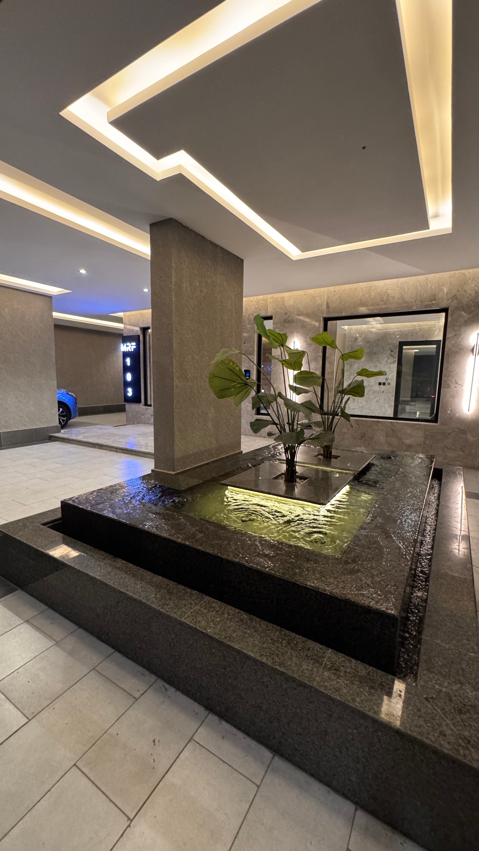 مدخل المشروع